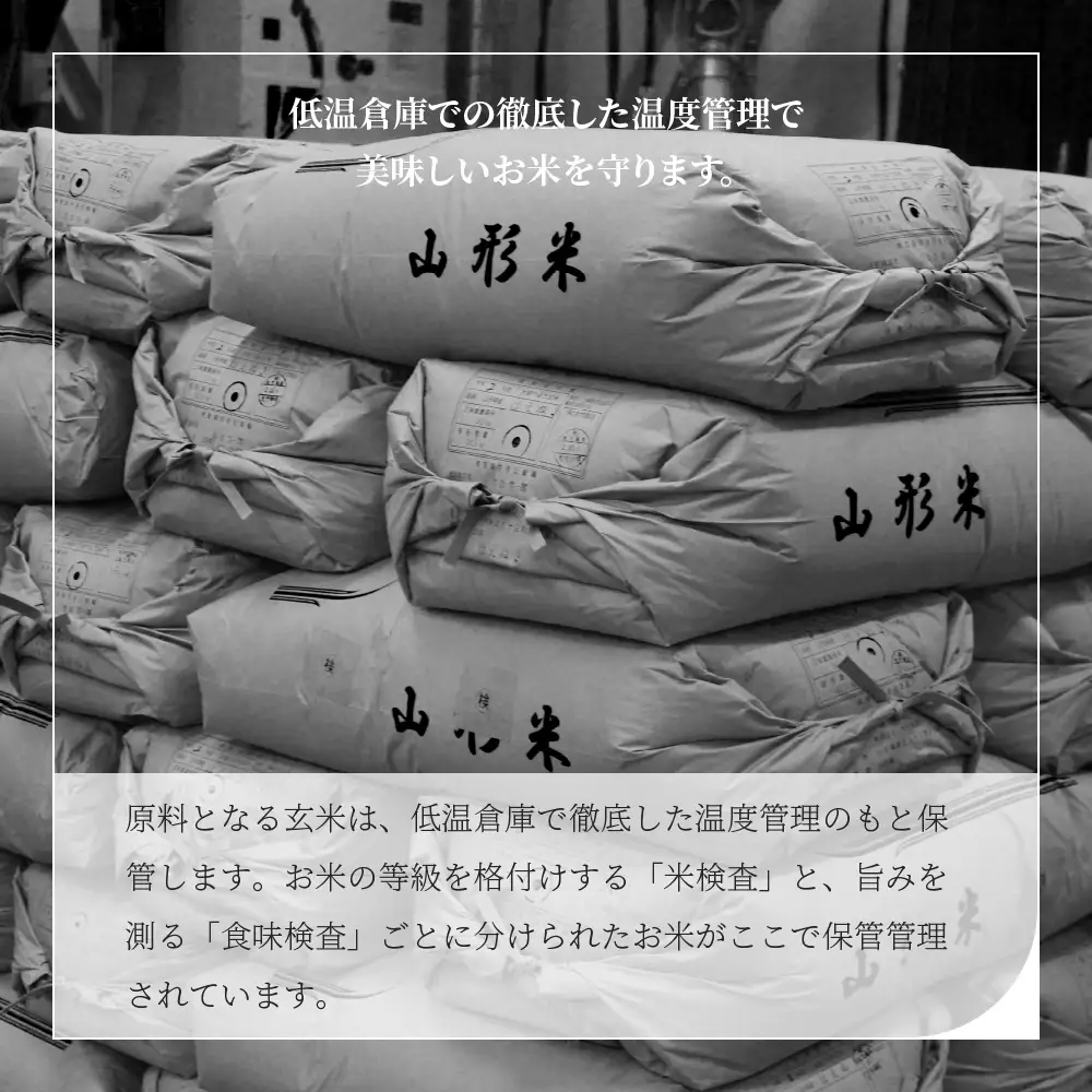 【6月中旬発送】つや姫 10kg 令和7年産 山形県産 無洗米 ※沖縄・離島への配送不可 ob-tsxxx10-m6b