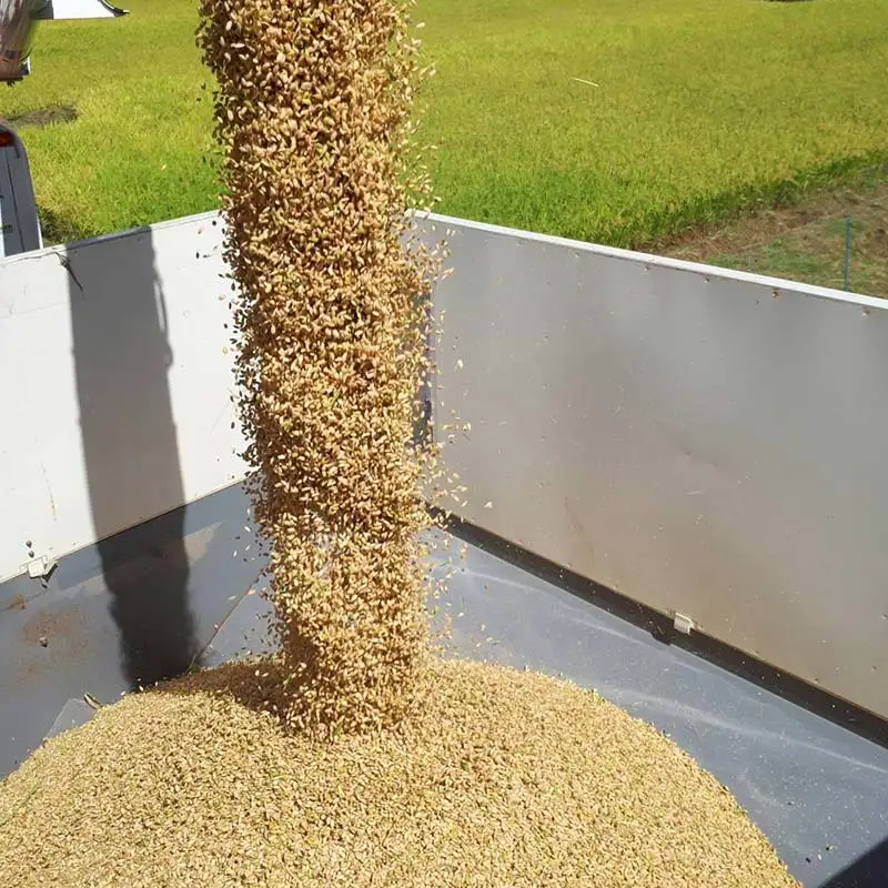 【令和7年産米】三島町産コシヒカリ 精米10㎏ FAG-0060