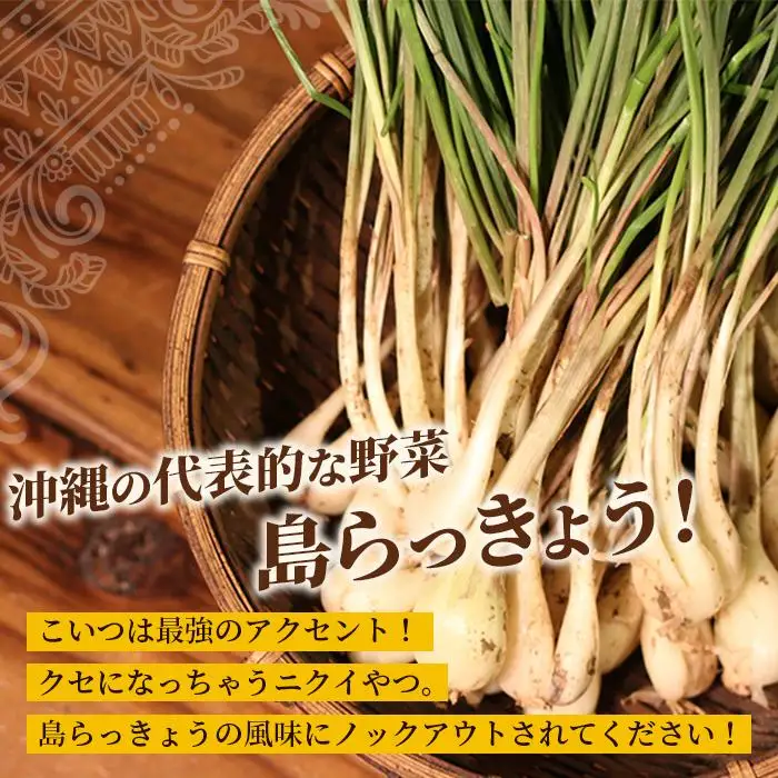 MOSESU CURRYの島カレーシリーズ　島らっきょうとひき肉のカレー 250g×6食（FP002）