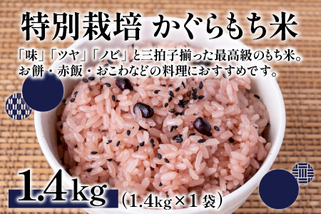 【先行予約】【令和8年産 新米】ベストファーマー ほたるの里 特別栽培こしひかり 4kg（2kg × 2袋） ＋ かぐらもち米 1.4kg 化学肥料不使用 農薬70％以上カット [A-002005]
