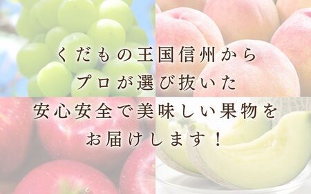 JAうえだから仕入れています りんご 秋映　あきばえ 5kg 贈答用 信州 フルーツ 果物