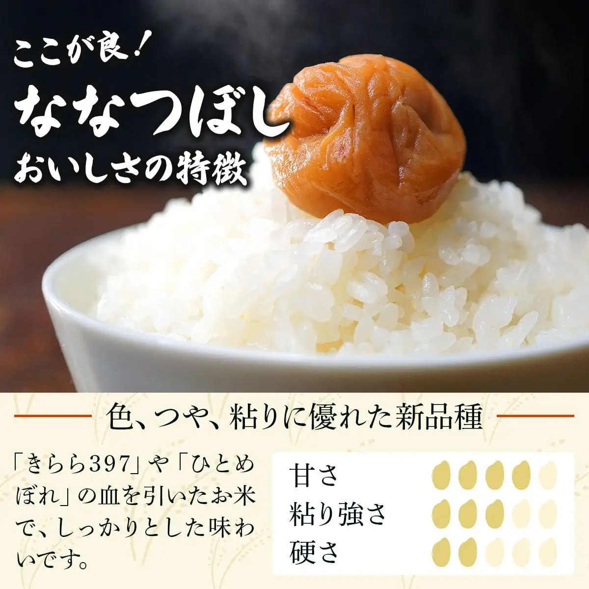 令和7年産 ＜定期便3回＞ 山下商店ななつぼし 20kg | 北海道岩見沢産 ななつぼし 米 白米 お米 岩見沢市【a164-019】