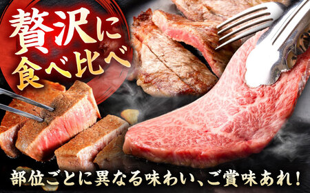 佐賀牛 ステーキ 5種 計500g 食べ比べ セット　吉野ヶ里町/ミートフーズ華松[FAY120]