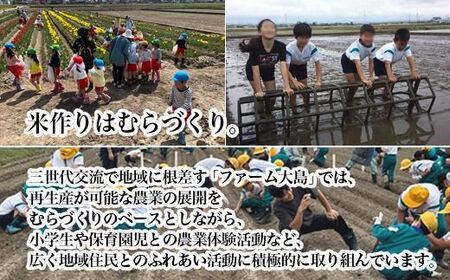 【3ヶ月定期便】【射水市】【総理大臣賞】【三世代交流】【射水の美味しいお米】射水市 おおしま ほほ笑み米 R8年度産 富富富 5kg【精米】｜ お米 令和8年産米 銘柄米 こめ 小分け 5kg 5キロ 三世代交流 白米 富山県 射水市おおしま ほほ笑み米 ※離島への配送不可 ※2026年10月上旬～10月下旬頃に順次発送予定
