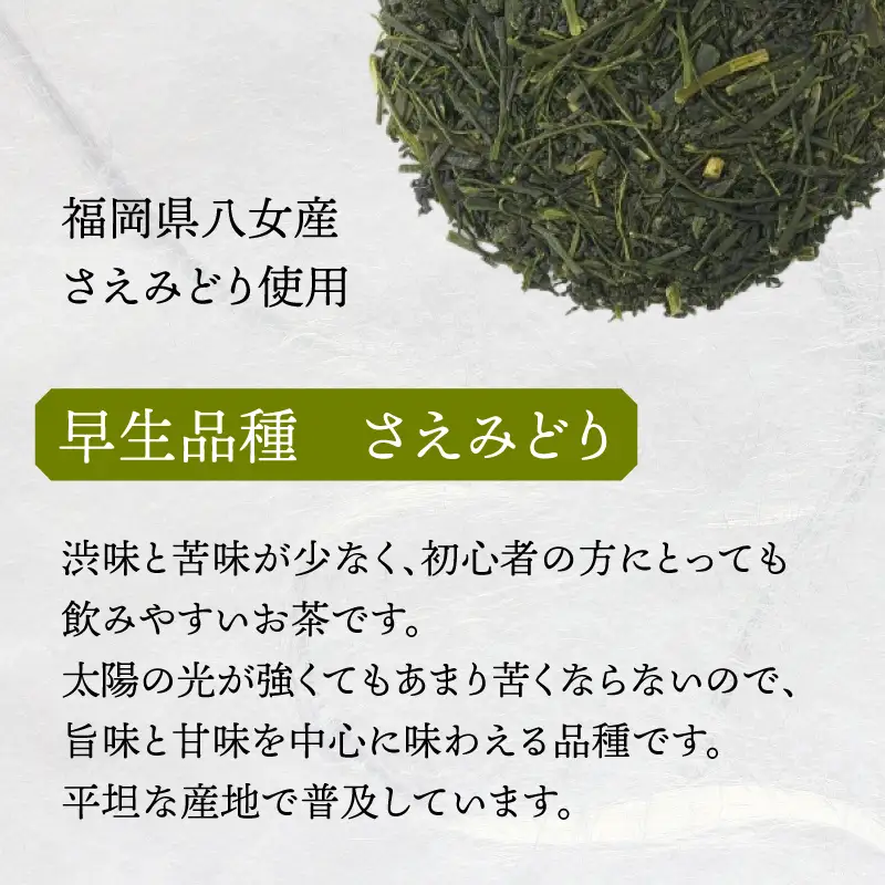深蒸し 八女茶「定庵あおか 30g」 028-019