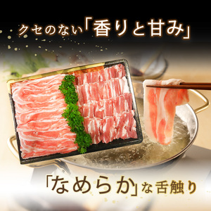 【母の日ギフト】 米の恵み 豚バラセット 約1kg ≪5月10日お届け≫ A02012-H