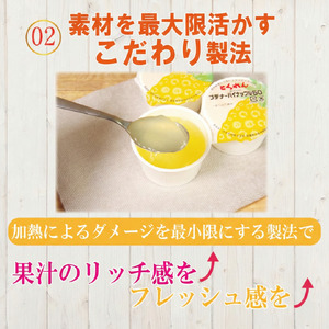 ゼリー パイナップル 12個  入り プデナー ゼリー フルーツ とくれん フルーツゼリー 給食 