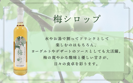 【伊豆市ブランド認定】梅とびわ香る伊豆の癒しセット〈AMAGIFT〉びわ茶・梅シロップ・エコバッグ入り | アマギフト びわ茶 梅シロップ お土産 癒し 健康 無添加 ナチュラル ドリンク 贈りもの プレゼント リラックス 母の日 女性 おしゃれ 詰め合わせ