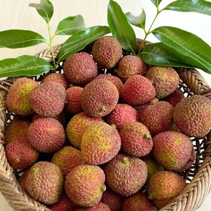 宮古島　国産ライチ 「宮古パール®」（9粒）(PF01)