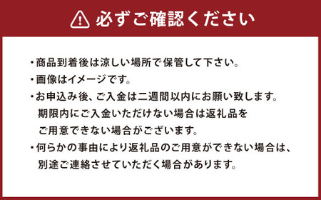 【10月発送分】【家計応援】【数量限定】梨 4.5kg+1玉 豊水 20世紀 新高 新興 果物 フルーツ