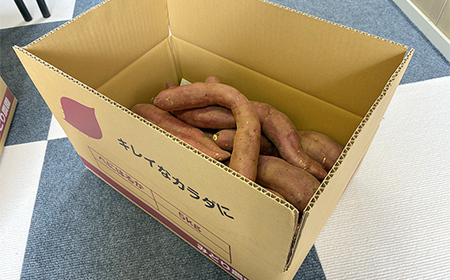 甘さ引き出す サイズ不揃い 熟成紅はるか 5kg さつまいも 訳アリ サツマイモ さつま芋 甘い おやつ 食品 F7X-0794