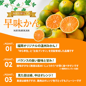 ＜先行予約受付中！2026年9月中旬以降順次発送予定＞福岡県ブランドみかん 早味かん(計約5kg) みかん ミカン オレンジ 蜜柑 はやみかん 温州 極早生 ブランド 柑橘 果物 くだもの フルーツ 生 国産 冷蔵 【農産物直売所ほたるの里】as52-035