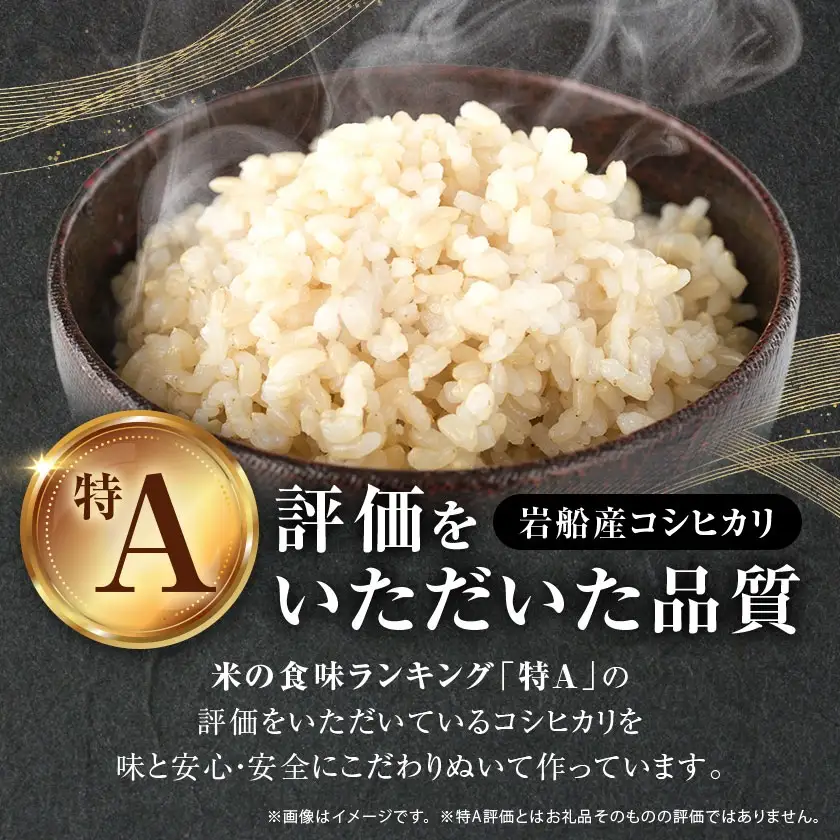 R7年産 [極上]安心こだわり米 岩船産コシヒカリ玄米3kg(3kg×1袋)[百姓屋]【1720539】