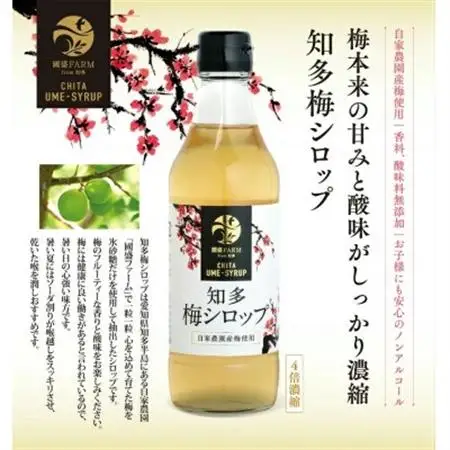 國盛ファーム 梅シロップ 12本(ケース)【1720871】