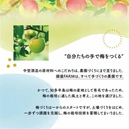 國盛 知多露茜 梅原酒【配送不可地域：離島】【1720879】