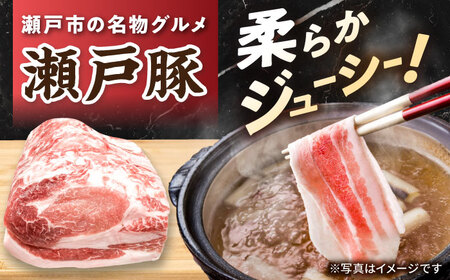 【全2回定期便】 瀬戸豚 生活応援セット 計5kg / 豚肉 豚バラ しゃぶしゃぶ ミンチ セット 小分け / 瀬戸市 / 関屋精肉店[BBBQ227]