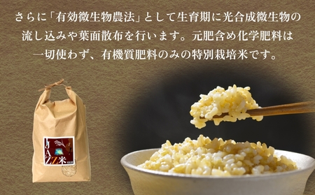 【令和8年産米先行受付】原農園 JAZZ米 玄米 10kg にこまる 米 お米 こめ コメ ご飯  ニコマル 常温 大分県 大分 玖珠町 玖珠