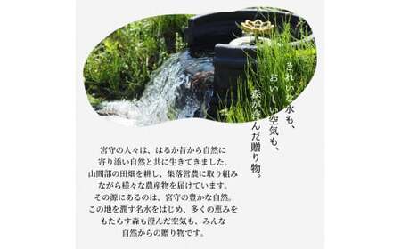 宮守楽園 ジュース 8種 合計 8本 セット | 宮守川上流生産組合 野菜 フルーツ 果物 岩手県 遠野市 宮守町 加工 100% ギフト 贈答