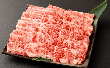 熊本あか牛特撰カルビ 約500g 肉 お肉 ニク にく 食肉 牛肉 牛 あか牛 国産 熊本県産 ヘルシー 焼肉 焼き肉 BBQ バーベギュー カルビ 冷凍