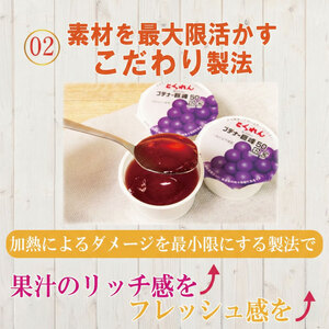 ゼリー 巨峰  24個 入り プデナー ゼリー フルーツ とくれん