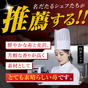 【栃木県共通返礼品】いちご 完熟とちあいか とちあいかDX 350g×2p 下野市　