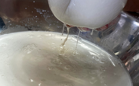 沖縄の味を一日体験 〈落花生収穫～ジーマミー豆腐作り〉1名様