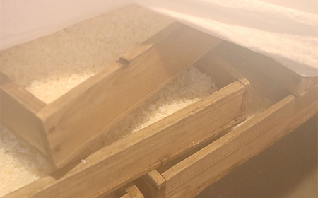 須賀川産コシヒカリ使用 冷凍生麹 約1kg 米麹 甘酒 塩麹 醤油麹 調味料作り 発酵食品 食品 F7X-0798