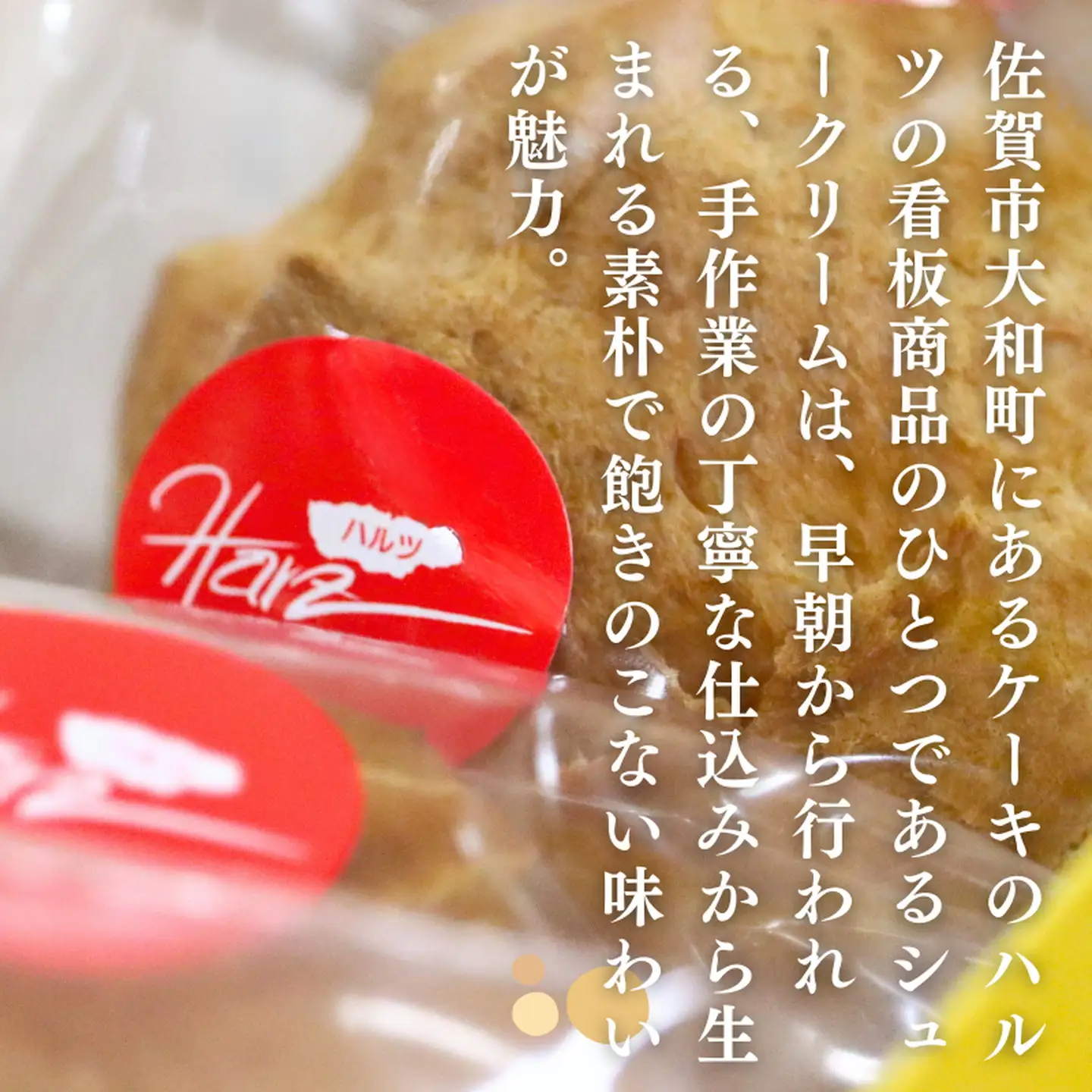 【ふるなびWEEK対象】ハルツのシュークリーム 10個：A095-055