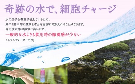 ニセコ解離水  金のしずく・銀のしずく 500ml×24本 | 水 保存水 軟水 ミネラルウォーター 羊蹄山 解離水 | 株式会社アプロディーテ[BPAH001]