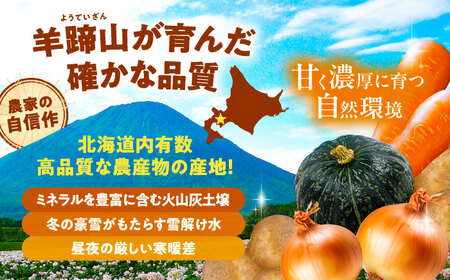 【2026年11月下旬以降発送】 秋の味覚セット（小）（じゃがいも5kg・旬の農産物詰め合わせ） | 野菜セット 野菜 詰合せ じゃがいも 季節の野菜 | 道の駅 真狩フラワーセンター[BPAM001]