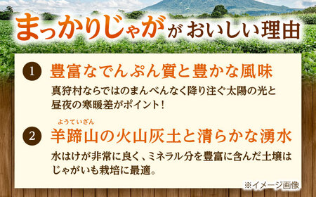 【2026年10月中旬以降順次発送】 じゃがいも キタアカリ（まっかりじゃが）5kg | じゃがいも ジャガイモ キタアカリ 野菜 北海道 産地直送 | 道の駅 真狩フラワーセンター[BPAM015]