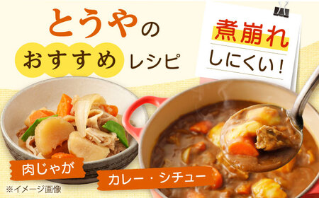 【2026年10月上旬以降順次発送】じゃがいも とうや 5kg | じゃがいも とうや 野菜 やさい 北海道 産地直送 | 道の駅 真狩フラワーセンター[BPAM017]