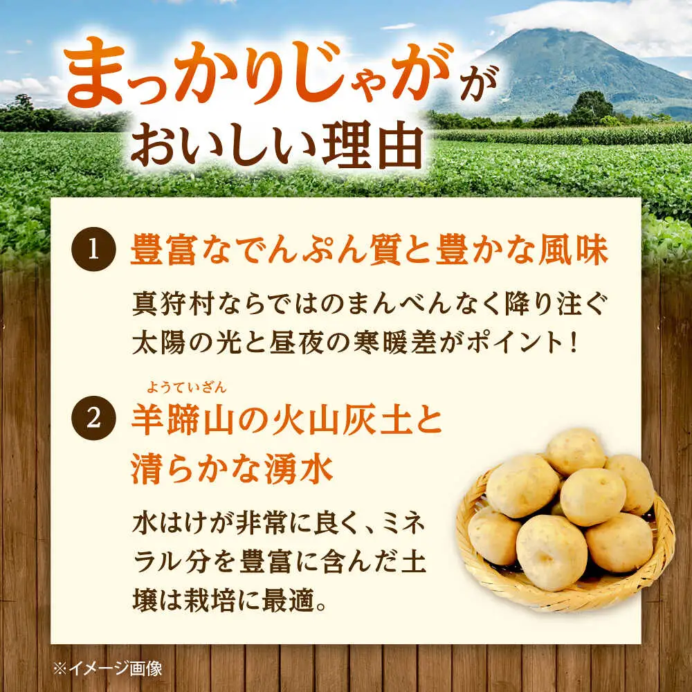 【先行予約】 じゃがいも 男爵（まっかりじゃが）10kg じゃがいも [BPAM024]