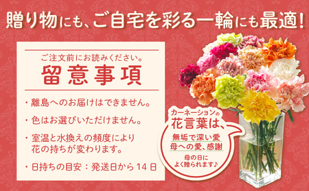 【母の日までにお届け（4/20までに決済完了）】生産者直送　想いを届けるカーネーション花束・T164