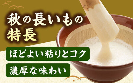 【2026年11月下旬以降順次発送】秋掘り 長いも 5kg  |  長いも 秋野菜 野菜 やさい 北海道 産地直送 |  道の駅 真狩フラワーセンター[BPAM026]