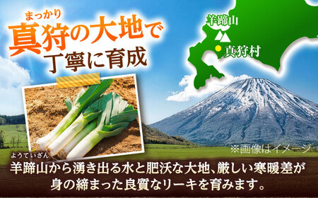 【2026年10月中旬以降順次発送】 リーキ 3kg | 野菜 ネギ ねぎ ポロネギ 西洋ねぎ リーキ | 道の駅 真狩フラワーセンター[BPAM045]