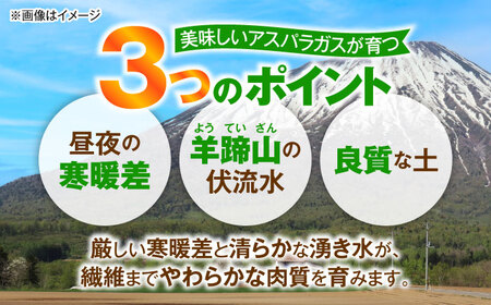【2026年5月下旬以降順次発送】 グリーンアスパラ 1kg | 野菜 アスパラ アスパラガス やさい 北海道 産地直送 | 道の駅 真狩フラワーセンター[BPAM049]