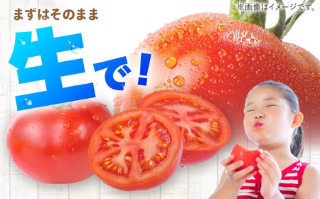 【先行予約】トマト 4kg [BPAM078] トマト 北海道