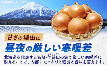 【2026年10月上旬以降順次発送】 玉ねぎ 5kg | 野菜 玉ネギ たまねぎ やさい 北海道 産地直送 | 道の駅 真狩フラワーセンター[BPAM079]