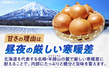 【2026年10月上旬以降順次発送】 玉ねぎ 10kg | 野菜 玉ネギ たまねぎ やさい 北海道 産地直送 | 道の駅 真狩フラワーセンター[BPAM080]