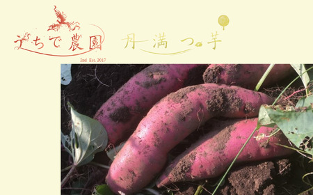 府中Sweet Potato Stout　（さつまいもスタウトビール）330ml瓶×6本セット