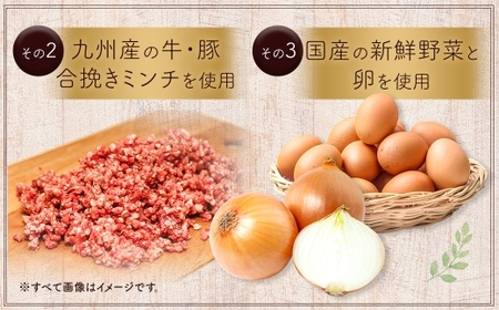 豆腐ハンバーグセット100g × 6個入 豆腐ハンバーグ 冷凍 電子レンジ対応 小分けで便利 ヘルシー 国産 ｜ 熊本県あさぎり町