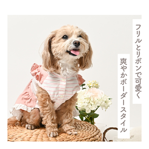 リボンボーダーワンピース ブルー かわいい ドッグウェア 春夏 小型犬  【ココアトワ(cocoAtoi)】 Ｌ