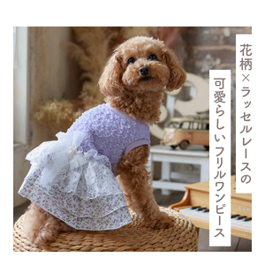 ふくれジャガードフラワーワンピース ラベンダー  ドッグウェア 【ココアトワ(cocoAtoi)】 Ｍ