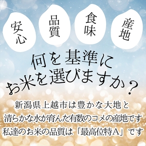 令和8年産　先行予約　上越市産コシヒカリ　5kg×6回定期便　新米　精米　新潟　米　新潟県　こしひかり　限定　定期便　おすすめ　米ヴィレッジさんわ