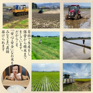 令和8年産　先行予約　上越市産みずほの輝き　5kg×6回定期便　新米　精米　新潟　米　新潟県　みずほの輝き　限定　定期便　おすすめ　米ヴィレッジさんわ