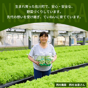 【ふるさと納税】 ＜佐川町産 リーフレタス 5袋＞水耕栽培 野菜 高知 新鮮 西村農園 【冷蔵】