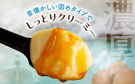 ちょっと大人のほろ苦ぷりん☆別府名物地獄蒸し！（6個入り）_B091-003