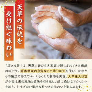 S030-009_昔ながらの杵つきの味わい「塩あん餅」12個