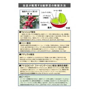 炭火焙煎珈琲豆・お薦めセット(1袋160g入り×3種類)【1653079】
